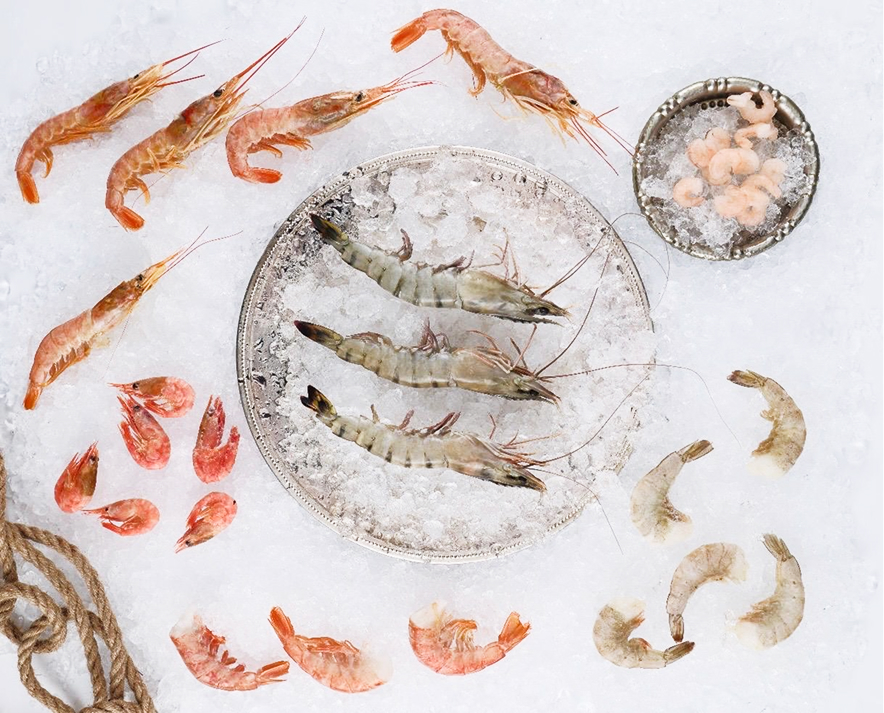 telegram-cloud-photo-size-2-5330131711318684122-y 1.jpg